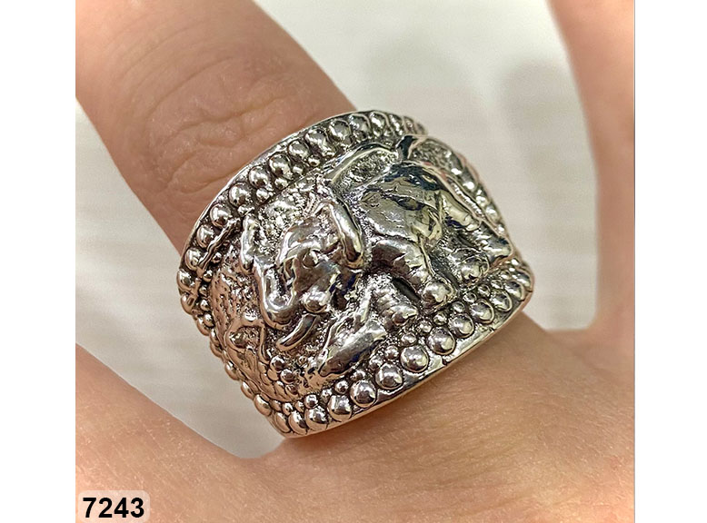 29 AN 07243 ELEFANTE